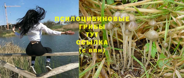 PSILOCYBIN Алексеевка