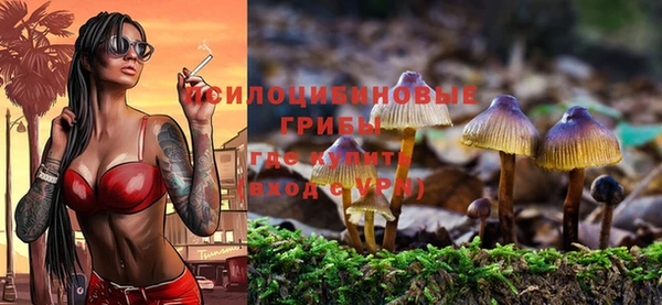 PSILOCYBIN Алексеевка