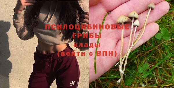 наркотики Алзамай