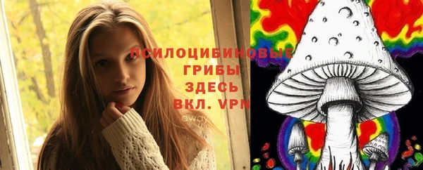 PSILOCYBIN Алексеевка