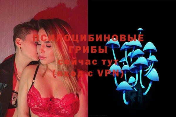 соль курить ск Алексин