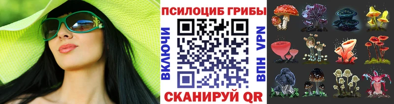 Псилоцибиновые грибы Cubensis  Кропоткин 